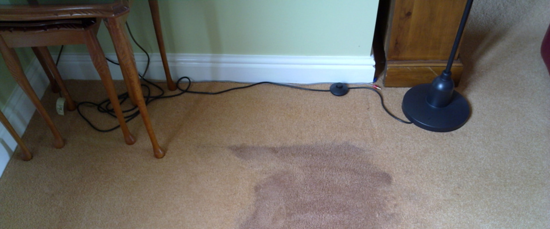Why do old carpet stains come back?