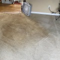 Why does carpet look dirtier after cleaning?