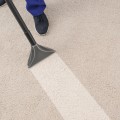What is the best professional carpet cleaning method?