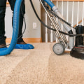 What do professional carpet cleaners use for pet urine?