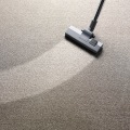 What kind of carpet doesn't hold dirt?