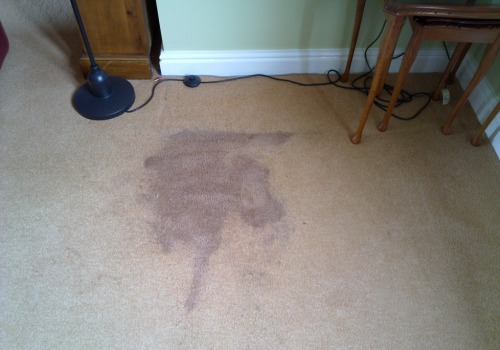 Why do old carpet stains come back?