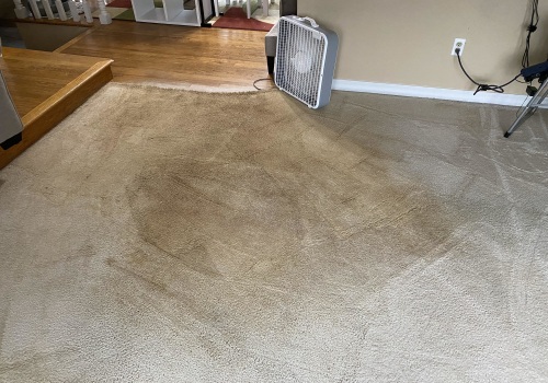 Why does carpet look dirtier after cleaning?