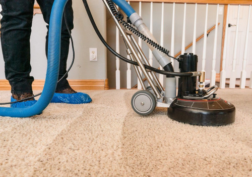 What do professional carpet cleaners use for pet urine?